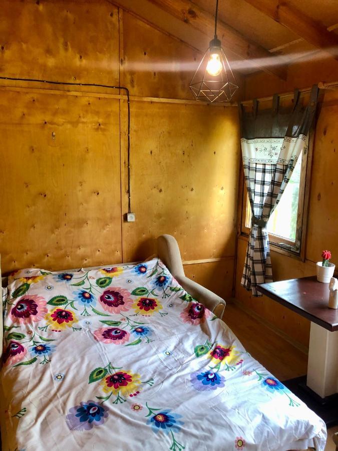 Kaszubski Loft z własnym stawem rybnym Żukowo Zewnętrze zdjęcie